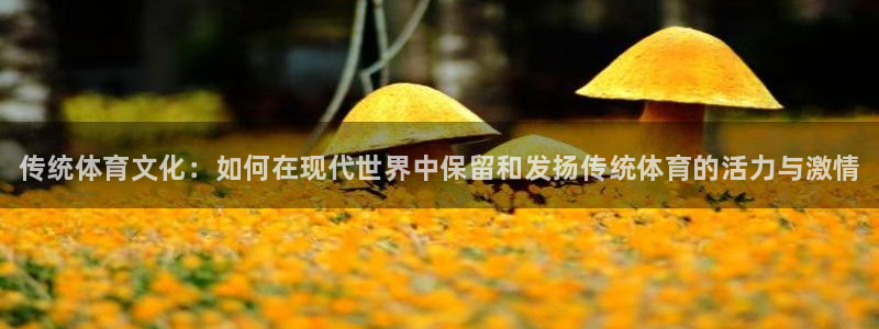 J9官方正版app集团：传统体育文化：如何在现代世界中保留和