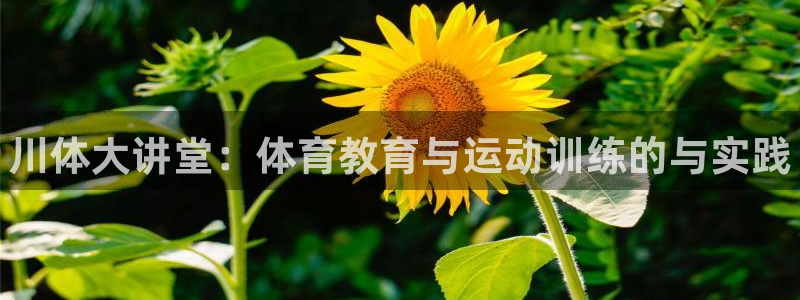 J9官方正版app集团简介：川体大讲堂：体育教育与运动训练的