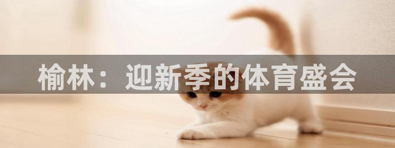 J9官网下载平台APP：榆林：迎新季的体育盛会