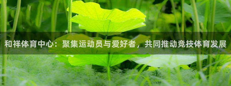 J9官方正版app娱乐是那个系列的台子：和祥体育中心