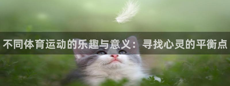 J9官方正版app娱乐是那个系列的台子：不同体育运动