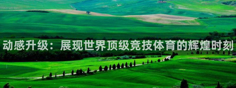 J9官网下载平台注册要钱吗安全吗：动感升级：展现世界