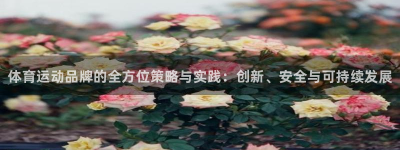 J9官网下载平台注册流程图：体育运动品牌的全方位策略