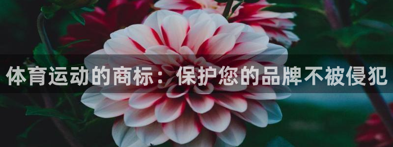 J9官网下载招商：体育运动的商标：保护您的品牌不被侵