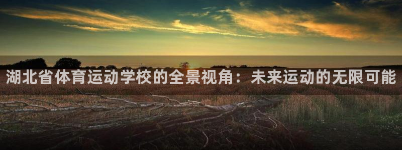 J9官方正版app娱乐代理怎么样：湖北省体育运动学校