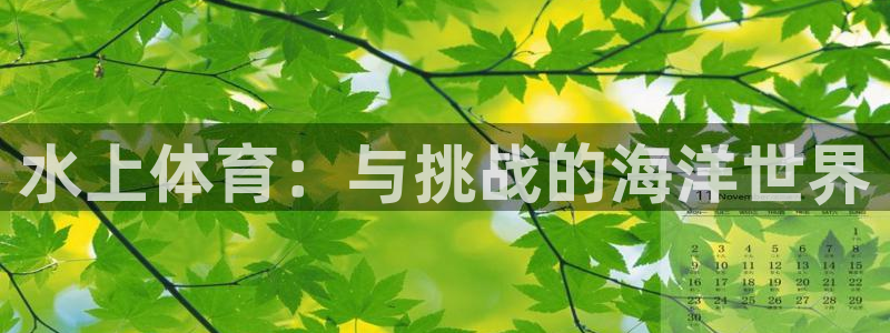 J9官方正版app代理：水上体育：与挑战的海洋世界