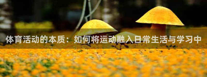 J9官方正版app娱乐网站：体育活动的本质：如何将运动融入日
