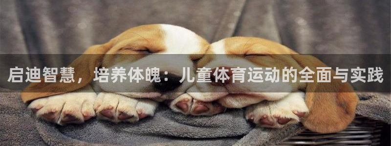 J9官方正版app集团官网首页：启迪智慧，培养体魄：