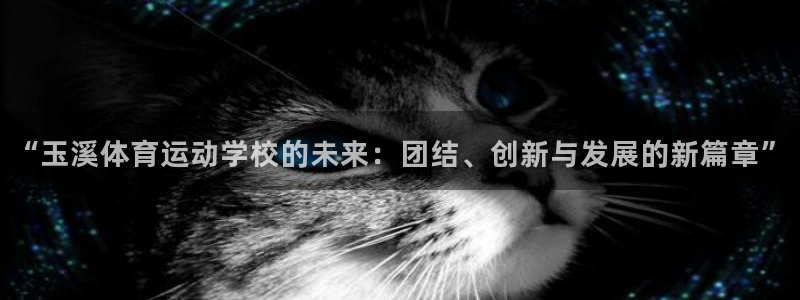 J9官网下载开户：“玉溪体育运动学校的未来：团结、创新与发展
