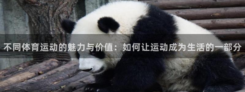 J9官方平台体育