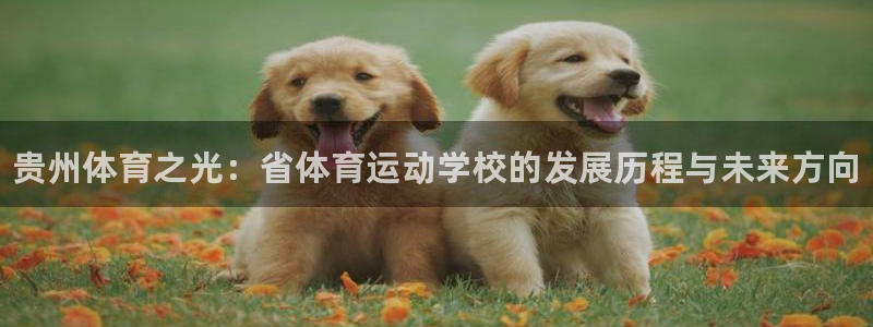 注册J9官方正版app：贵州体育之光：省体育运动学校的发展历