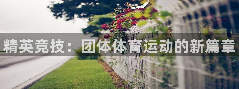 J9官网下载平台APP