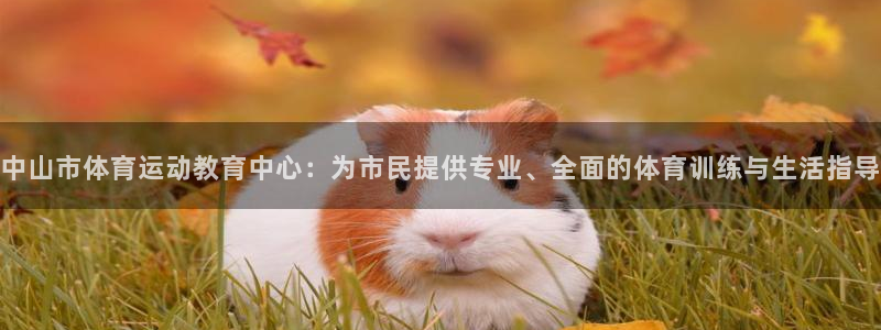 J9官方正版app娱乐是那个系列的台子：中山市体育运动教育中