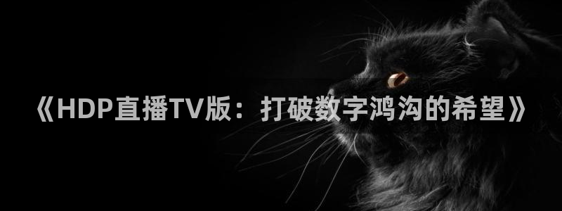 看球吧体育直播：《HDP直播TV版：打破数字鸿沟的希望》