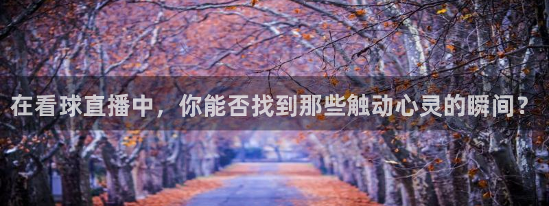 看球吧免费直播：在看球直播中，你能否找到那些触动心灵的瞬间？