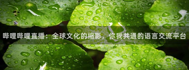 nba直播看球吧：哔哩哔哩直播：全球文化的缩影，你我共通的语言交流平台