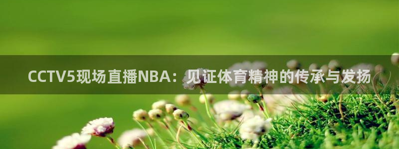 24看球吧直播：CCTV5现场直播NBA：见证体育精神的传承与发扬