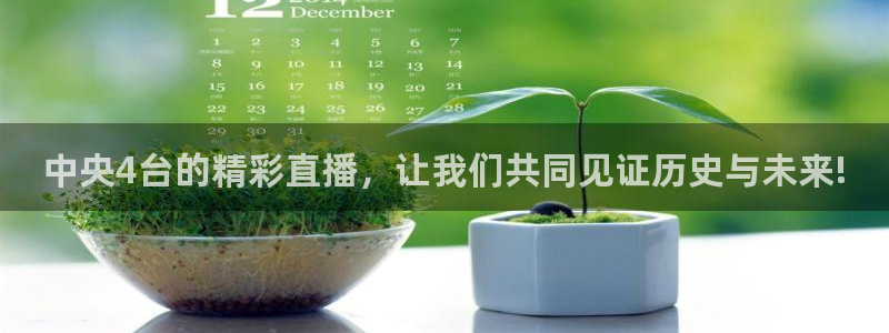 足球直播看球吧：中央4台的精彩直播，让我们共同见证历史与未来!