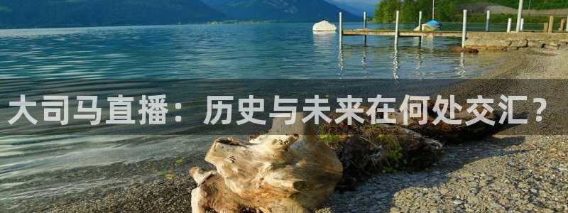 nba免费直播看球吧：大司马直播：历史与未来在何处交汇？