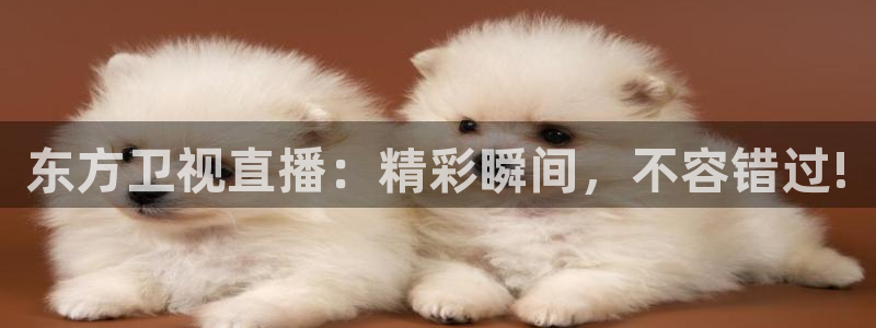 免费看球吧：东方卫视直播：精彩瞬间，不容错过!