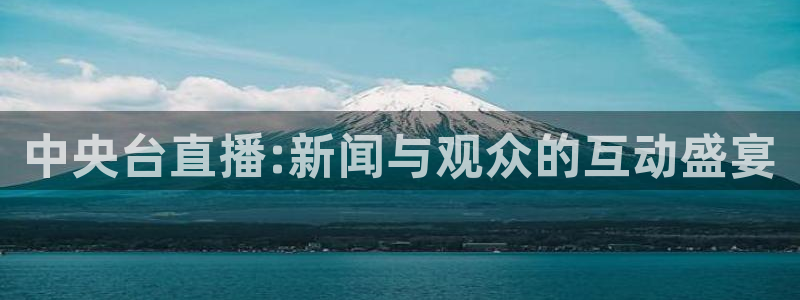 爱看球吧jrs直播：中央台直播:新闻与观众的互动盛宴