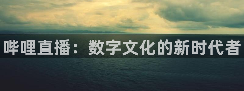 看球吧在线观看：哔哩直播：数字文化的新时代者