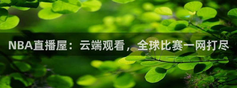 nba直播看球吧：NBA直播屋：云端观看，全球比赛一网打尽