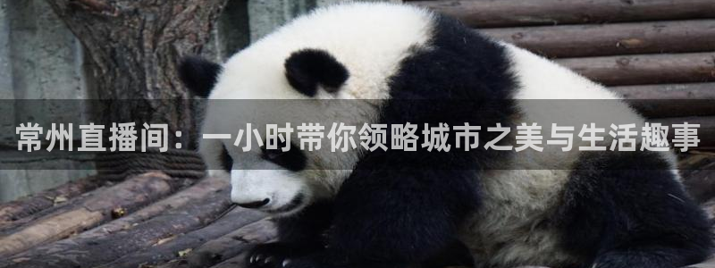 看球吧直播在线观看：常州直播间：一小时带你领略城市之美与生活趣事
