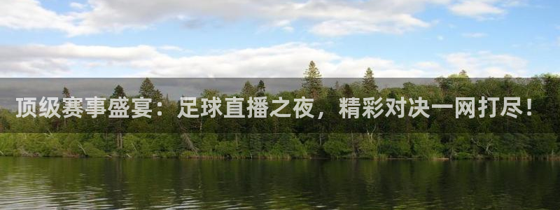 看球吧直播视频在线直播：顶级赛事盛宴：足球直播之夜，精彩对决一网打尽！