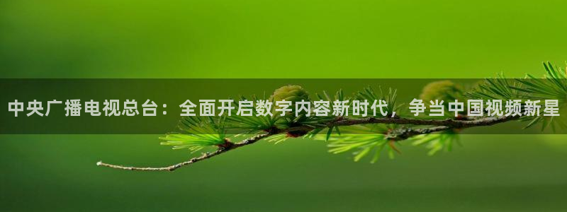 看球吧在线观看：中央广播电视总台：全面开启数字内容新时代，争当中国视频新星