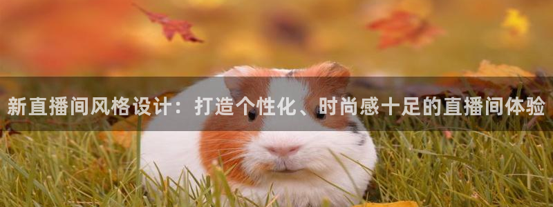 365看球吧直播：新直播间风格设计：打造个性化、时尚感十足的直播间体验