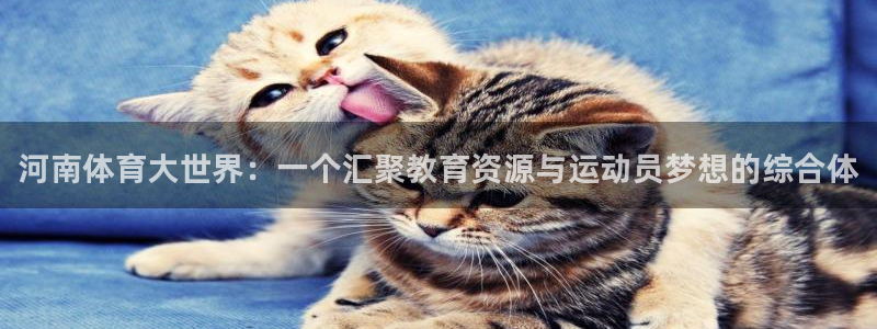德国J9官方正版app集团：河南体育大世界：一个汇聚教育资源