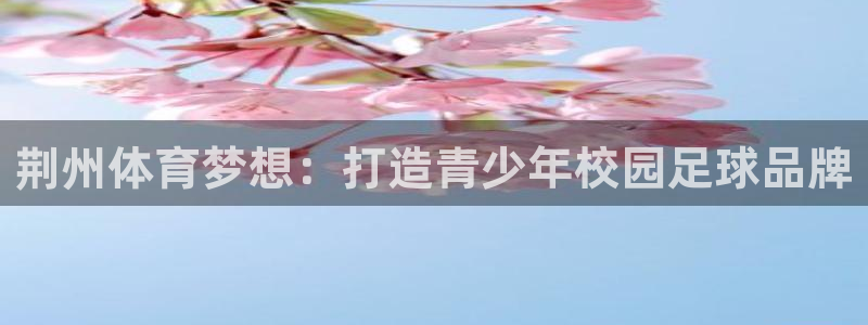 J9官网下载平台注册要钱吗是真的吗：荆州体育梦想：打造青少年