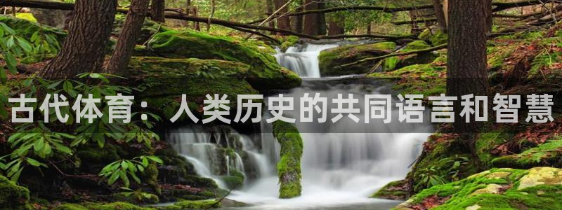 J9官网下载招商电话是多少啊