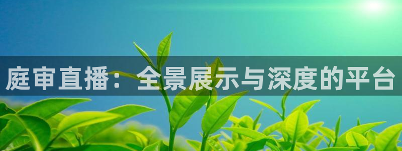 看球吧下载：庭审直播：全景展示与深度的平台