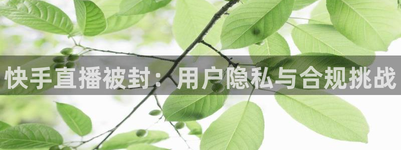 看球吧在线观看免费直播：快手直播被封：用户隐私与合规挑战